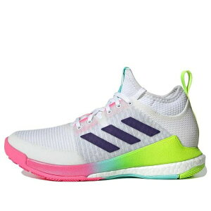 adidas AfB_X fB[X Xj[J[ Cloud White/Team College Purple/Flash Aqua y(WMNS) adidas Crazyflight Mid 'White Purple Pink' HP3337z TCY US_W_11