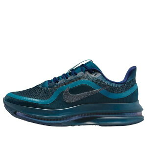 Nike �i�C�L ���f�B�[�X �X�j�[�J�[ �y(WMNS) Nike x Swarovski Air Zoom Pegasus Premium 'Blue Force' IM7384-499�z �T�C�Y US_5(22.0cm)
