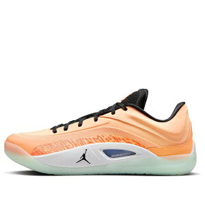 Air Jordan �W���[�_�� �����Y �X�j�[�J�[ �yAir Jordan Zion 4 'Forged in Fire' FB1802-800�z �T�C�Y US_9(27.0cm)
