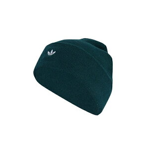 AfB_XIWiX fB[X Xq ANZT[ CUFF UNISEX - Beanie - aurora ivy