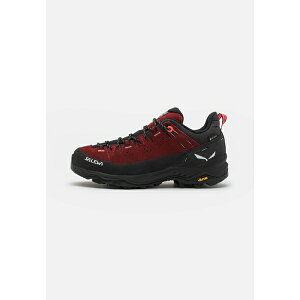 T fB[X nCLO X|[c ALP TRAINER 2 GORE TEX - Hiking shoes - syrah/black