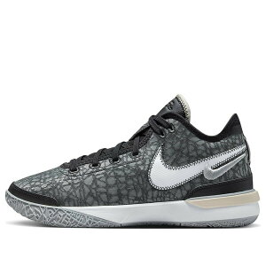 Nike iCL Y Xj[J[ yNike Zoom LeBron NXXT Gen 'Grey Black' DR8788-005z TCY US_8(26.0cm)
