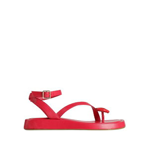 �y���������z �W�A / RHW ���f�B�[�X �T���_�� �V���[�Y Thong sandals Red