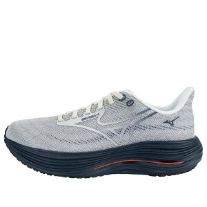 Mizuno �~�Y�m �����Y �X�j�[�J�[ �yMizuno Wave Rider 29 'Grey Black' J1GC250581�z �T�C�Y US_7(25.0cm)