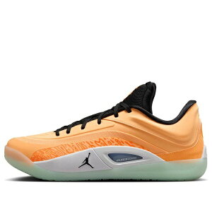 Jordan �W���[�_�� �����Y �X�j�[�J�[ �yAir Jordan Zion 4 PF 'Forged in Fire' FD0591-800�z �T�C�Y US_7(25.0cm)