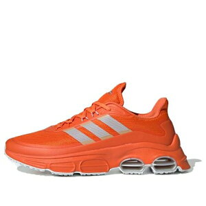 adidas AfB_X Y Xj[J[ yadidas neo QUADCUBE Orange EH2544z TCY US_7(25.0cm)