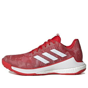 adidas �A�f�B�_�X ���f�B�[�X �X�j�[�J�[ �y(WMNS) adidas Crazyflight Shoes 'Team Collegiate Red Camo' HR0633�z �T�C�Y US_W_10
