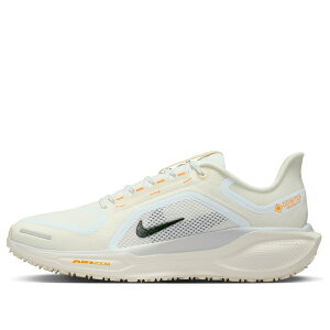 Nike �i�C�L ���f�B�[�X �X�j�[�J�[ �y(WMNS) Nike Air Zoom Pegasus 41 GTX 'Beige' FQ1357-102�z �T�C�Y US_W_10