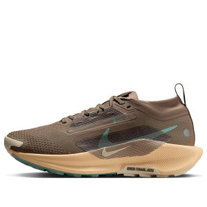 Nike �i�C�L ���f�B�[�X �X�j�[�J�[ �y(WMNS) Nike Pegasus Trail 5 Gore-Tex 'Mink Brown' FQ0912-200�z �T�C�Y US_W_12