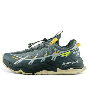 Mizuno �~�Y�m �����Y �X�j�[�J�[ �yMizuno GM II 01 'Gray Silver' D1GH213801�z �T�C�Y US_8.5(26.5cm)