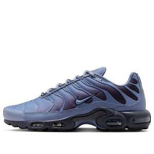 Nike iCL Y Xj[J[ yNike Air Max Plus 'World Indigo' DM0032-404z TCY US_6.5(24.5cm)