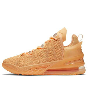 Nike iCL Y Xj[J[ yNike LeBron 18 'Sisterhood' DB8148-801z TCY US_8.5(26.5cm)