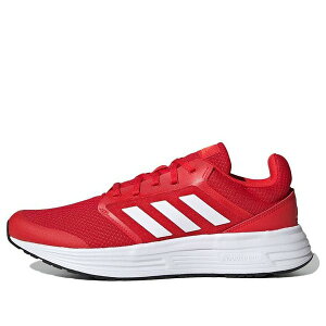 adidas AfB_X Y Xj[J[ yadidas Galaxy 5 'Red White' FY6721z TCY US_11.5(29.5cm)