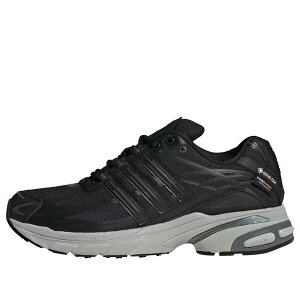 adidas AfB_X Y Xj[J[ Core Black / Iron Metallic / Core Black yadidas Adistar Cushion Gore-Tex 'Black Iron Metallic' IG6929z TCY US_12.5(30.5cm)