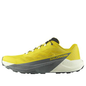SALOMON �T������ �����Y �X�j�[�J�[ �ySALOMON Pulsar 'Sedona Sage' 479732�z �T�C�Y US_7.5(25.5cm)