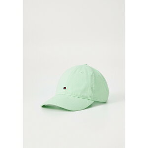 g~[ qtBK[ fB[X Xq ANZT[ FLAG 6 PANEL UNISEX - Cap - mint gel