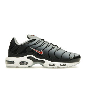 Nike iCL Y Xj[J[ yNike Air Max Plus Swoosh Pack Blue Tintz TCY US_7.5(25.5cm) Black/Blue Tint/Iron Grey/Rugged Orange