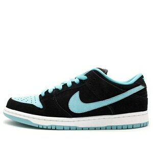 Nike �i�C�L �����Y �X�j�[�J�[ �_���N �yNike SB Dunk Low Pro 'Clear Jade' 304292-030�z �T�C�Y US_10(28.0cm)