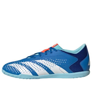 adidas �A�f�B�_�X �����Y �X�j�[�J�[ �yadidas Predator Accuracy.4 IN 'Bright Royal Blue' GY9989�z �T�C�Y US_M_13