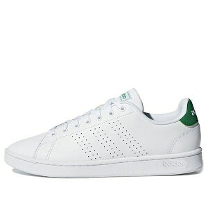 adidas AfB_X Y Xj[J[ yadidas Advantage 'Green' F36424z TCY US_M_4
