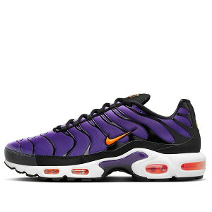 Nike iCL Y Xj[J[ yNike Air Max Plus OG 'Voltage Purple' 2024 DX0755-500z TCY US_11(29.0cm)