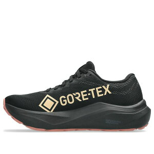 ASICS �A�V�b�N�X ���f�B�[�X �X�j�[�J�[ �y(WMNS) ASICS GT-2000 14 Gore-Tex 'Black Misty Pine' 1012B844-002�z �T�C�Y US_W_11.5