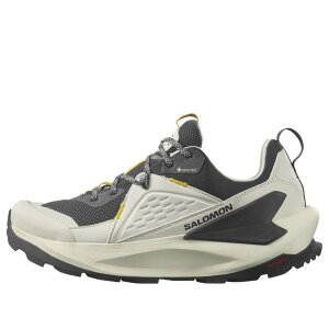 SALOMON �T������ �����Y �X�j�[�J�[ �ySalomon Elixir GTX 'Vanilla Ice Phantom' 472958 / L47295800�z �T�C�Y US_10(28.0cm)