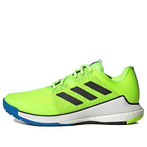 adidas �A�f�B�_�X �����Y �X�j�[�J�[ �yadidas Crazyflight 'Lucid Lemon Black' HP3356�z �T�C�Y US_M_13