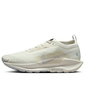 Nike �i�C�L �����Y �X�j�[�J�[ �yNike Pegasus Trail 5 Gore-Tex 'White Photon Dust' FQ0908-101�z �T�C�Y US_M_14