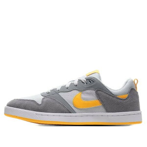 Nike �i�C�L �����Y �X�j�[�J�[ �yNike Alleyoop SB 'Particle Grey University Gold' CJ0882-002�z �T�C�Y US_11(29.0cm)