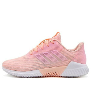 adidas AfB_X fB[X Xj[J[ Pink y(WMNS) adidas Climacool 2.0 'Pink' B75853z TCY US_6(23.0cm)