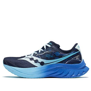 Saucony �T�b�J�j�[ �����Y �X�j�[�J�[ �ySaucony Endorphin Speed 4 'Pace Waterways' S20940-10�z �T�C�Y US_12(30.0cm)