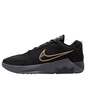 Nike �i�C�L �����Y �X�j�[�J�[ �yNike LeBron Witness 4 EP 'Black Iron Grey' HQ8035-003�z �T�C�Y US_10.5(28.5cm)