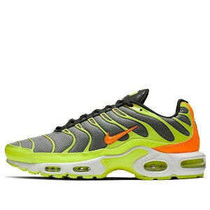 Nike �i�C�L �����Y �X�j�[�J�[ �yNike Air Max Plus 'Color Flip' CI5924-061�z �T�C�Y US_10.5(28.5cm)
