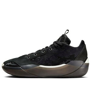 Jordan �W���[�_�� �����Y �X�j�[�J�[ �yAir Jordan 39 'Lumiere' FQ0213-001�z �T�C�Y US_12(30.0cm)