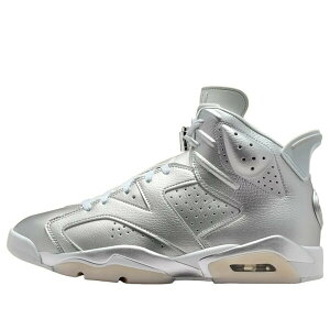 Jordan �W���[�_�� �����Y �X�j�[�J�[ �yAir Jordan 6 x Paris Saint-Germain PSG 'Metallic Silver' IQ5135-001�z �T�C�Y US_8(26.0cm)