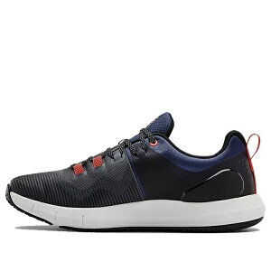 Under Armour A_[A[}[ Y Xj[J[ yUnder Armour Hovr Rise Training Shoes Gray 3022025-106z TCY US_10.5(28.5cm)