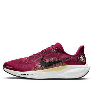Nike iCL Y Xj[J[ yNike x NCAA Pegasus 41 'FSU' IB3255-600z TCY US_6(24.0cm)