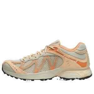SALOMON �T������ �����Y �X�j�[�J�[ �ySALOMON XT-Whisper Embroidery 'Asparagus Green Almond Cream' 479574�z �T�C�Y US_12.5(30.5cm)
