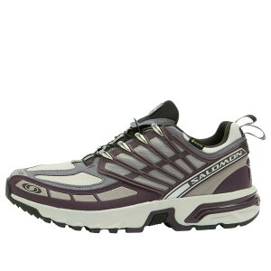 SALOMON �T������ �����Y �X�j�[�J�[ �ySALOMON ACS Pro Gore-Tex 'Plum Perfect' 478671�z �T�C�Y US_6.5(24.5cm)
