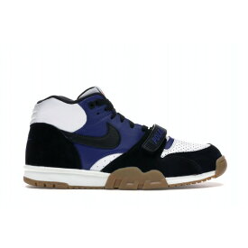 Nike ナイキ メンズ スニーカー 【Nike SB Air Trainer 1】 サイズ US_9.5(27.5cm) Polar Skate Co