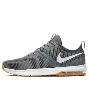 Nike �i�C�L �����Y �X�j�[�J�[ �yNike Air Max Typha 2 Gray AO3020-002�z �T�C�Y US_12(30.0cm)