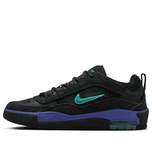 Nike �i�C�L �����Y �X�j�[�J�[ �yNike SB Air Max Ishod Wair 'Black Grape' FB2393-003�z �T�C�Y US_10(28.0cm)