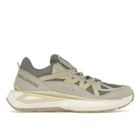 Salomon サロモン メンズ スニーカー 【Salomon Odyssey Elmt Low】 サイズ US_6.5(24.5cm) Shadow Aloe Wash