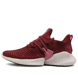 adidas AfB_X fB[X Xj[J[ y(WMNS) adidas Alphabounce Instinct Shoes CG5593z TCY US_8(25.0cm)
