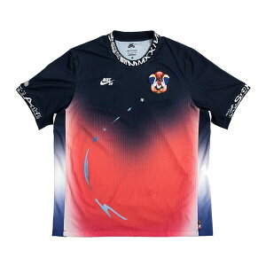 Nike iCL Y Xj[J[ yNike SB Dri-FIT ADV Short-Sleeve Jersey 'Team USA' FZ4066-451z TCY US_M_XL