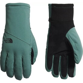 ノースフェイス レディース 手袋 アクセサリー The North Face Women's Shelbe Raschel Etip Gloves DARK SAGE