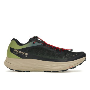 Salomon �T������ �����Y �X�j�[�J�[ �ySalomon S/Lab Ultra Sage Cameo Blue�z �T�C�Y US_7(25.0cm) Sage/Cameo Blue/Night Sky