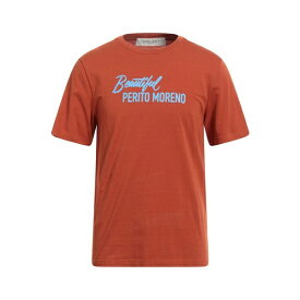 【送料無料】 ゴールデングース メンズ Tシャツ トップス T-shirts Rust