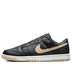 Nike �i�C�L �����Y �X�j�[�J�[ �yNike Dunk Low 'Black Anthracite' DV0831-005�z �T�C�Y US_7.5(25.5cm)